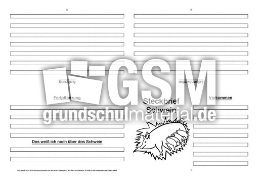 Schwein-Faltbuch-vierseitig-5.pdf